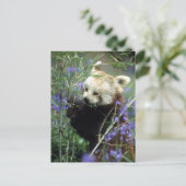 Red Panda Briefkaart (Staand voorkant)