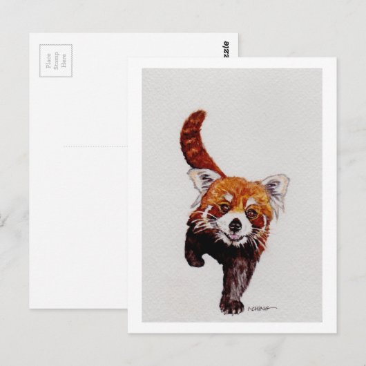 Red Panda Briefkaart (Voorkant / Achterkant)