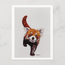 Red Panda Briefkaart