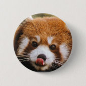 Red Panda Button (Voorkant)
