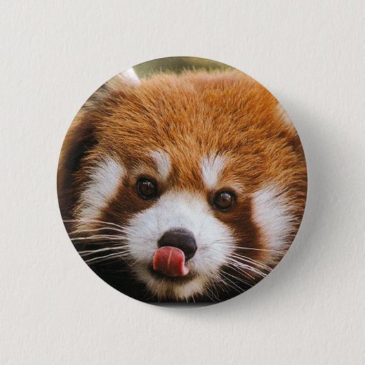 Red Panda Button (Voorkant)