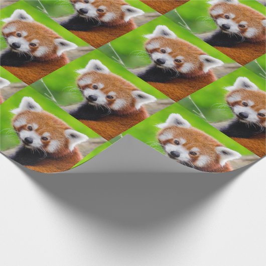 Red Panda Cadeaupapier (Hoek)