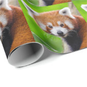 Red Panda Cadeaupapier (Rol Hoek)