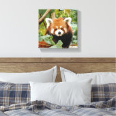 Red Panda Canvas Afdruk (Insitu (Slaapkamer))