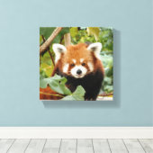Red Panda Canvas Afdruk (Insitu (Houten vloer))