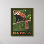 Red Panda Canvas Afdruk (Voorkant)