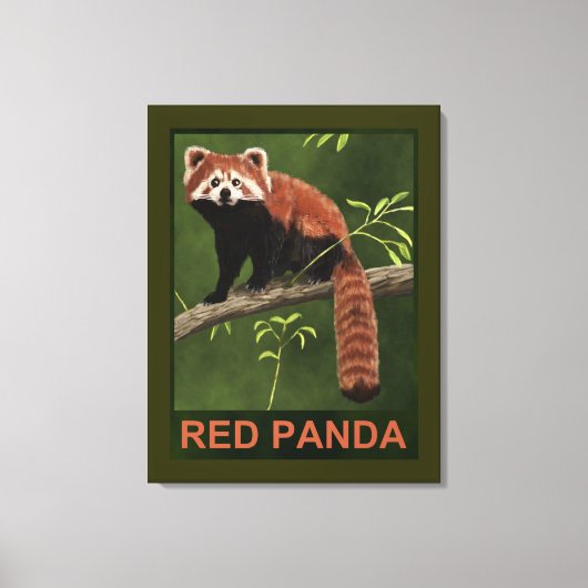 Red Panda Canvas Afdruk (Voorkant)