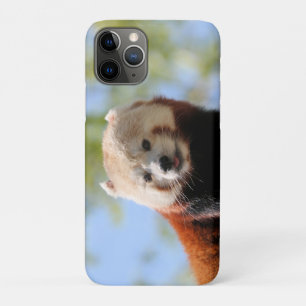 Red Panda Case-Mate iPhone Case