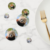 Red Panda Confetti (Groep)
