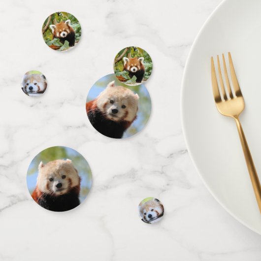 Red Panda Confetti (Groep)