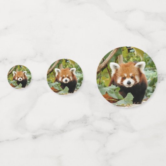 Red Panda Confetti (Voorkanten)