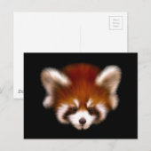 Red Panda Design Briefkaart (Voorkant / Achterkant)