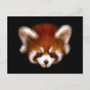 Red Panda Design Briefkaart