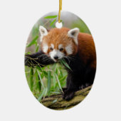 Red Panda Eating Green Leaf Keramisch Ornament (Voorkant)