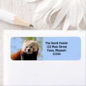 Red Panda Etiket (Insitu)