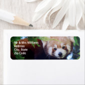Red Panda Etiket (Insitu)
