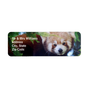 Red Panda Etiket
