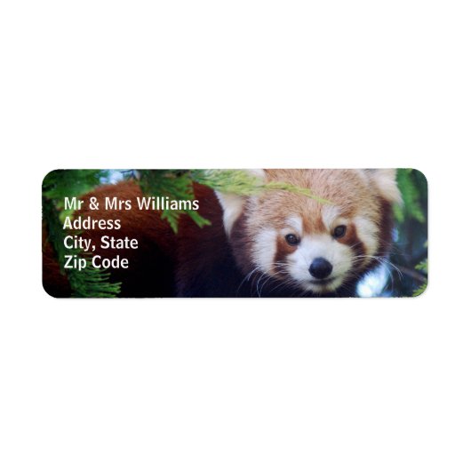 Red Panda Etiket (Voorkant)