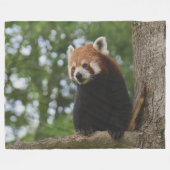 RED PANDA FLEECE DEKEN (Voorkant (Horizontaal))