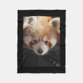 RED PANDA FLEECE DEKEN (Voorkant)