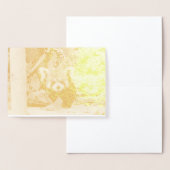 Red Panda Folie Kaarten (Display)