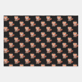 Red Panda Gamer Inpakpapier Vel (Voorkant)