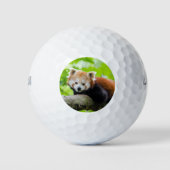 Red Panda Golfballen (Voorkant)