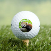 Red Panda Golfballen (Insitu Shirt)