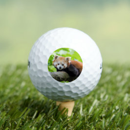 Red Panda Golfballen