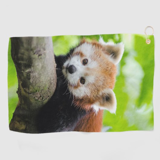 Red Panda Golfhanddoek (Horizontaal)
