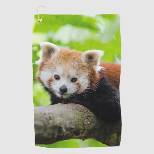 Red Panda Golfhanddoek (Voorkant)