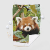 Red Panda Golfhanddoek (Insitu)