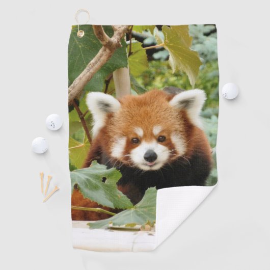 Red Panda Golfhanddoek (Insitu)