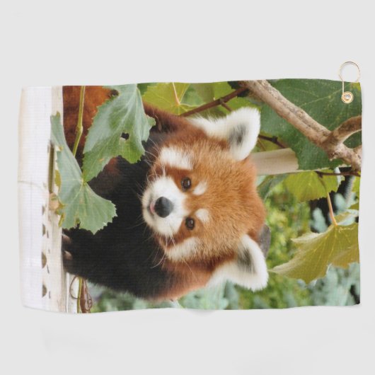 Red Panda Golfhanddoek (Horizontaal)