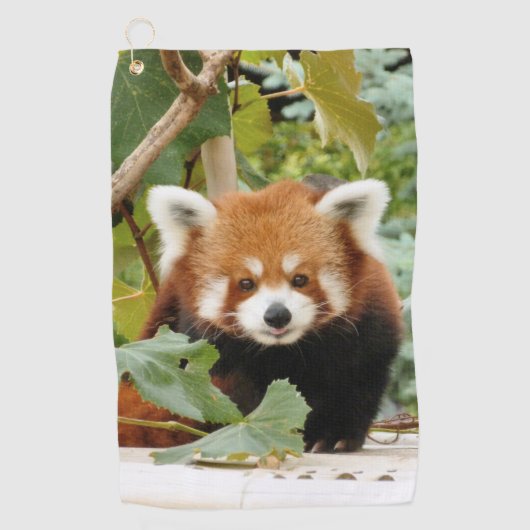 Red Panda Golfhanddoek (Voorkant)
