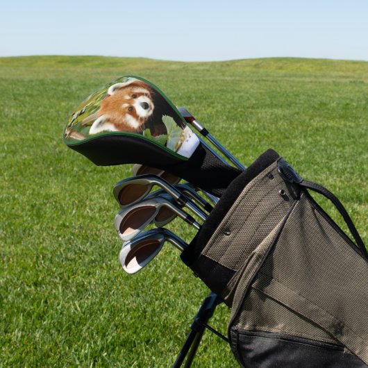 Red Panda Golfheadcover (Insitu)