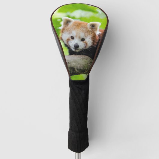 Red Panda Golfheadcover (Voorkant)