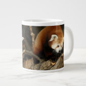 Red Panda Grote Koffiekop (Voorkant rechts)