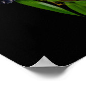 Red Panda in een ronde bril en een bamboe tak Poster (Hoek)