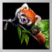 Red Panda in een ronde bril en een bamboe tak Poster (Voorkant)