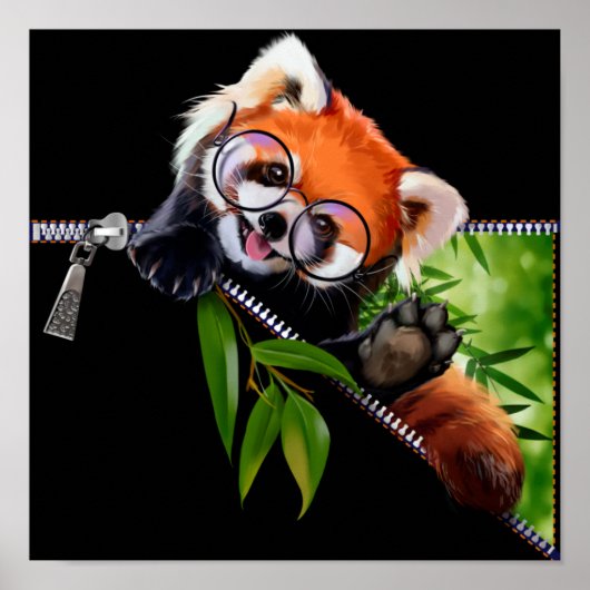 Red Panda in een ronde bril en een bamboe tak Poster (Voorkant)