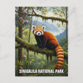 Red Panda in het Singalila National Park Briefkaart