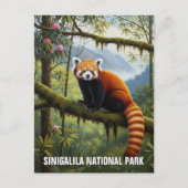 Red Panda in het Singalila National Park Briefkaart (Voorkant)
