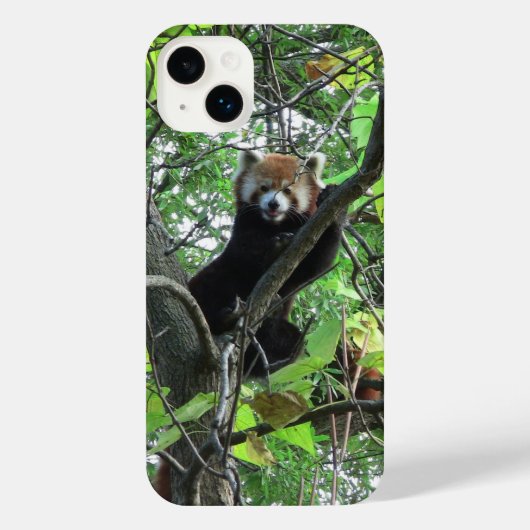 Red Panda iPhone Case Hoesje (Achterkant)
