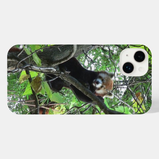 Red Panda iPhone Case Hoesje (Achterkant horizontaal)