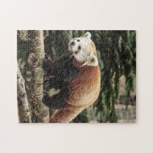 Red Panda Jigzaag Puzzle Legpuzzel (Horizontaal)