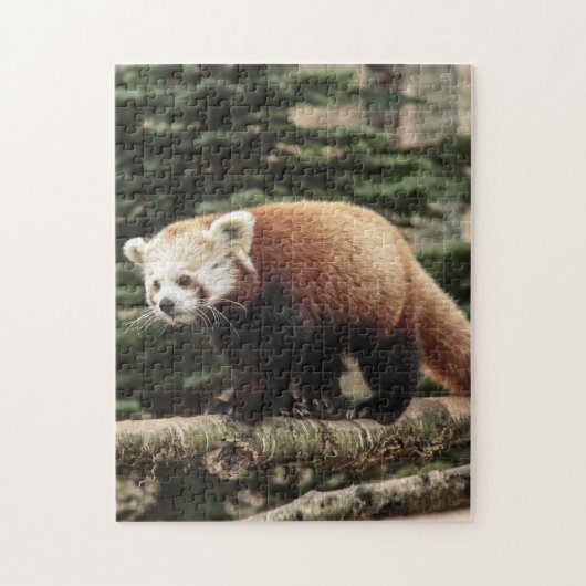 Red Panda Jigzaag Puzzle Legpuzzel (Verticaal)