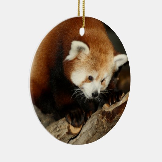 Red Panda Keramisch Ornament (Rechts)