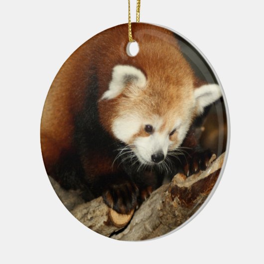 Red Panda Keramisch Ornament (Links)