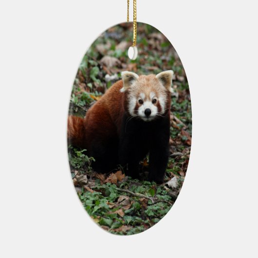 Red Panda Keramisch Ornament (Rechts)